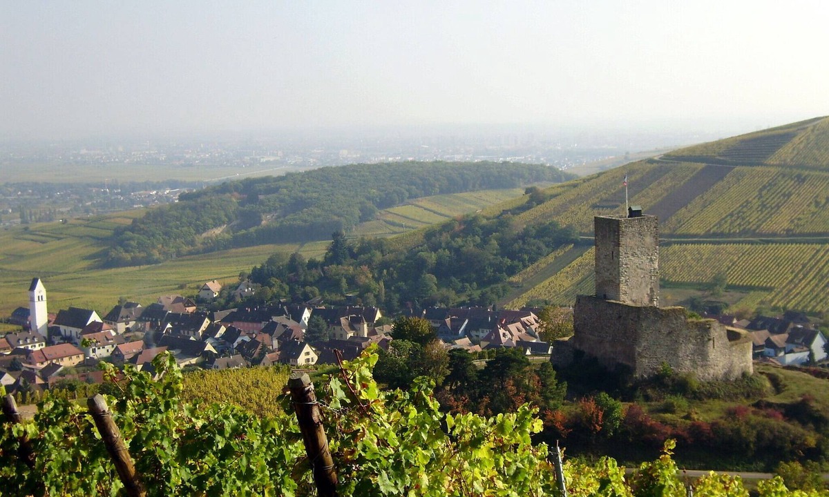 Katzenthal Apartment | 4*charm,near Colmar, Eguisheim,Riquewihr,wine route, garden, enclosed parking lot