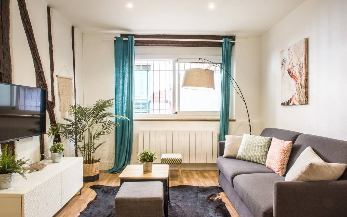 Saint-Etienne Apartment | 42 m² Apartment ∙ 1 bedroom ∙ 4 guests