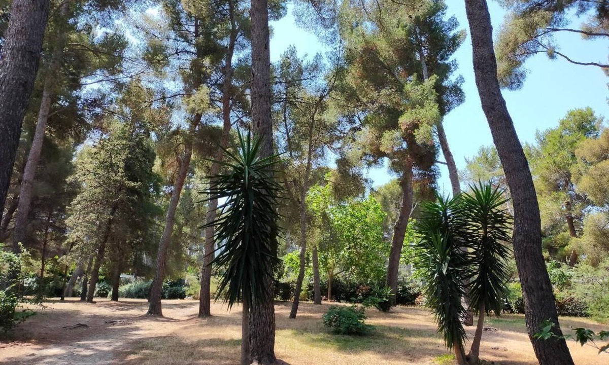 La Pointe Rouge Apartment | 50% SUMMER SALE from September 1 to 30, 2026, at Cigalou sous les pins