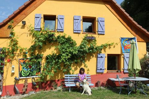 Lalaye Other | Abri de jardin aménagé, chambre Camping Glamour