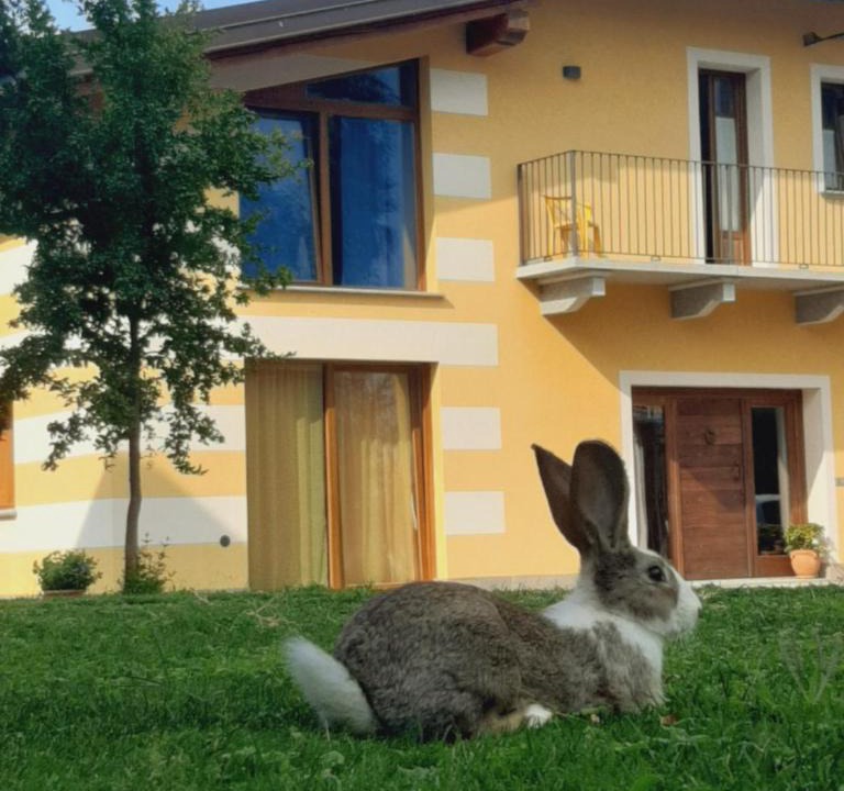 Dronero House | Agriturismo Fior Di Campo