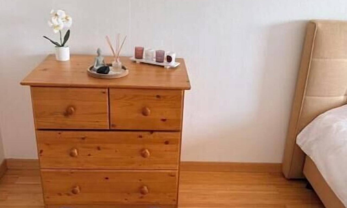 Poincare - Foch - Anatole France - Croix de Bourgogne Apartment | Apartment 5 minutes from the Nancy train station