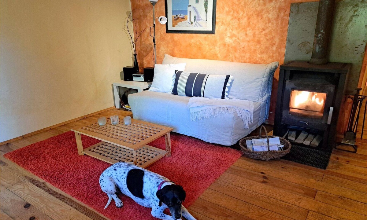 Pays de Phalsbourg Apartment | Apartment in Alsace with Nature Retreat