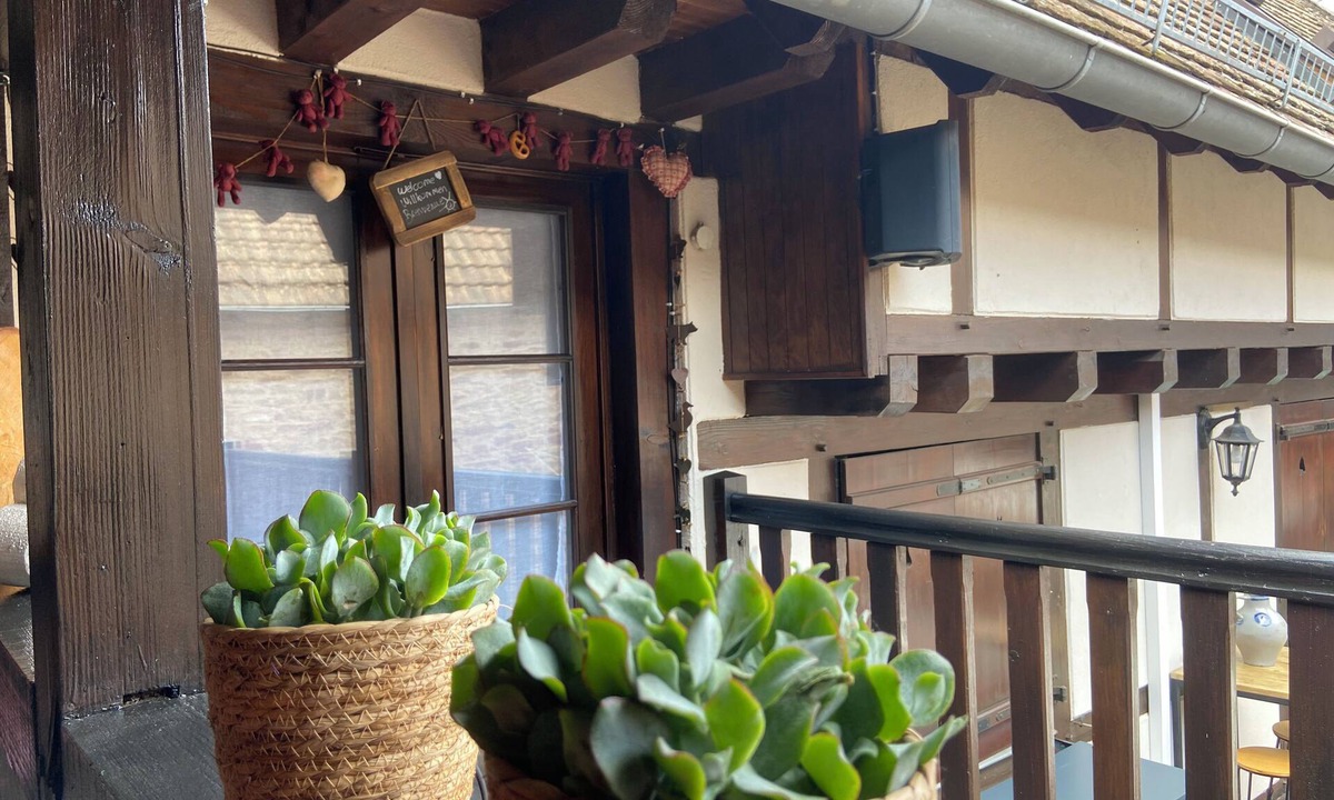 Avolsheim Apartment | Appartement alsacien à 15 minutes de Strasbourg