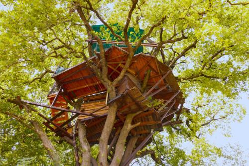 Mones Bed & Breakfast | B&B La Cabane Insolite