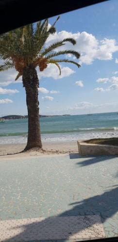 Bandol Apartment | Bandol Studio place de la Paroisse