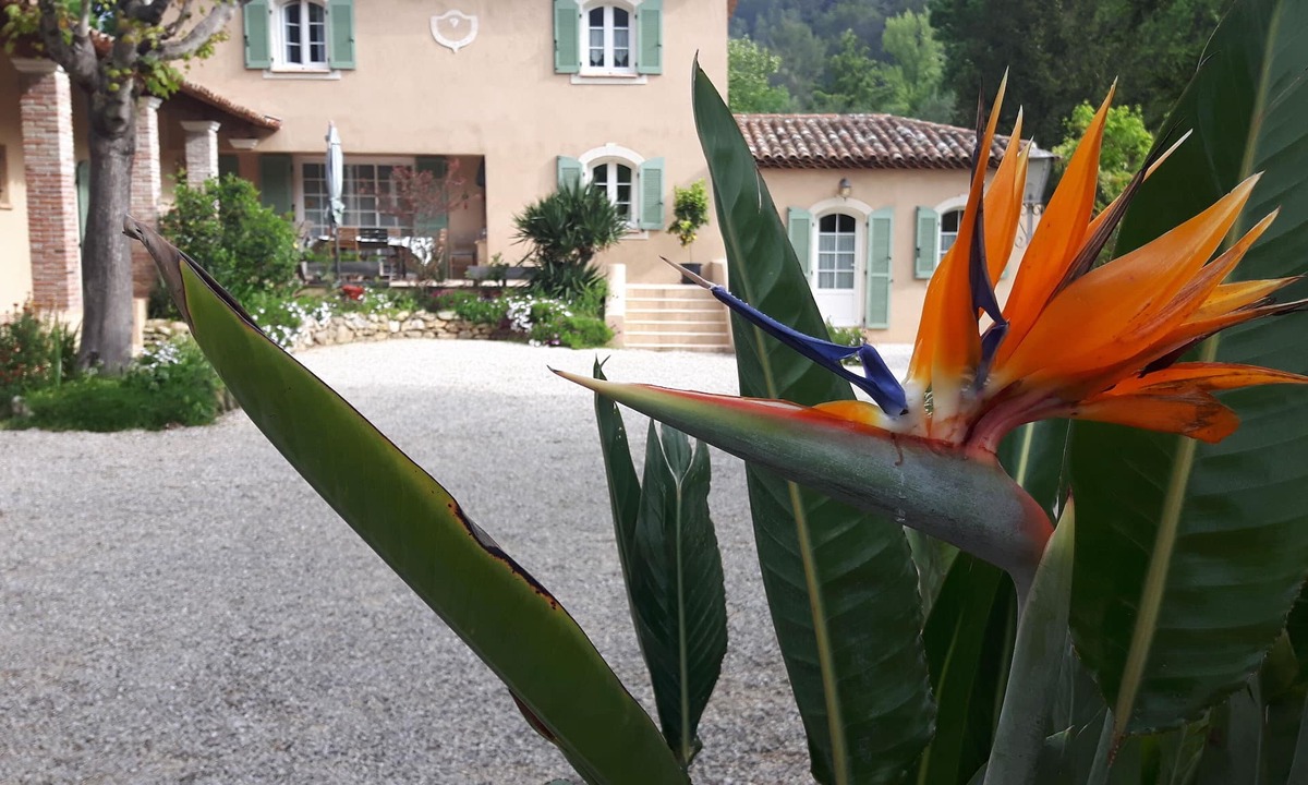 Belgentier Cottage | Bastide du Maoupas "Les Lavandes