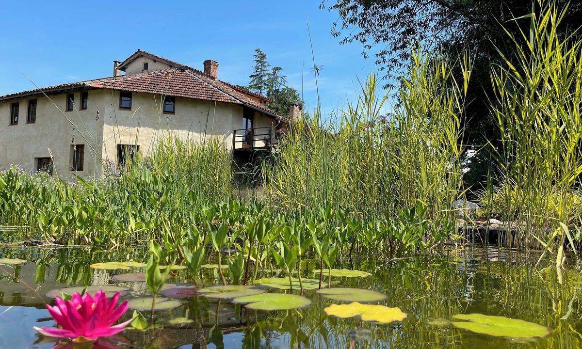Samouillan House | Beautiful old watermill with natural swimming pool. Only 50 minutes to Toulouse