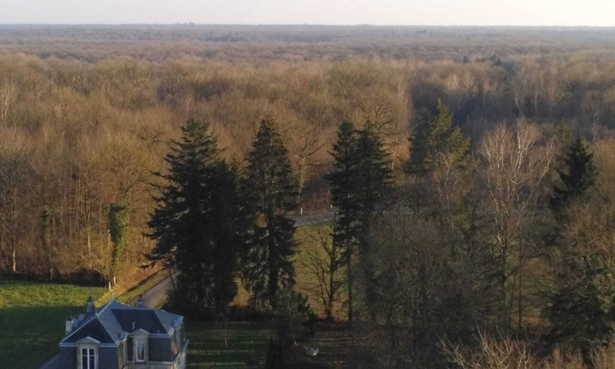 La Neuville-aux-Bois House | Bournon à Bournonville, romantic villa in wooded area