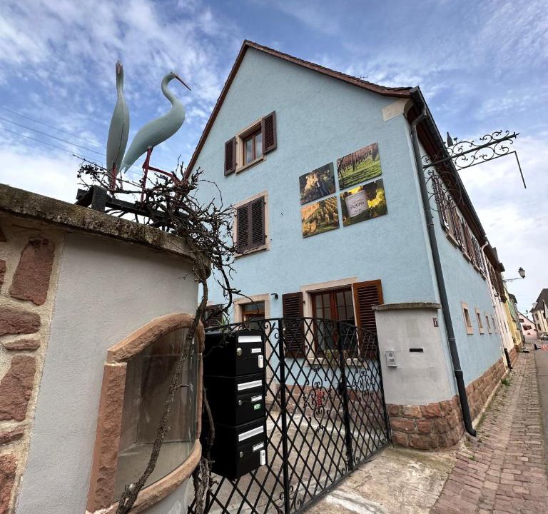 Sigolsheim Apartment | Charmant et chaleureux gîte dans le vignoble