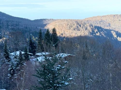 Montferrier Apartment | Charmant studio aux pieds des pistes