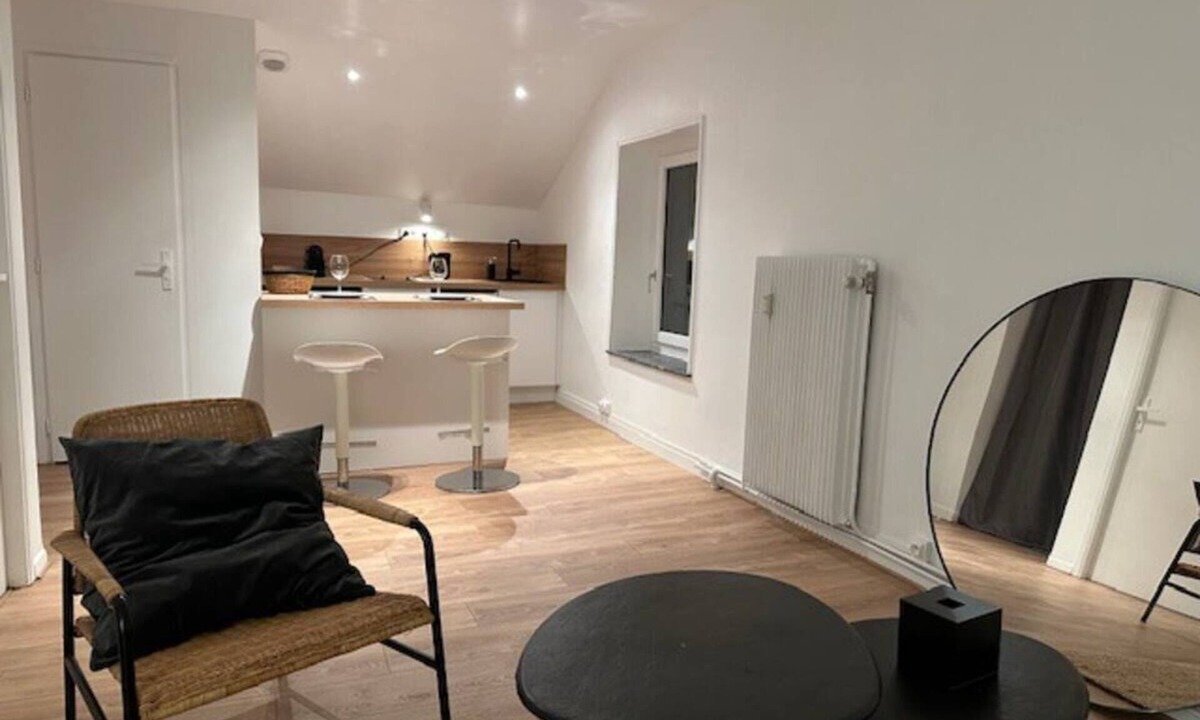 Poincare - Foch - Anatole France - Croix de Bourgogne Apartment | Charming and quiet apartment