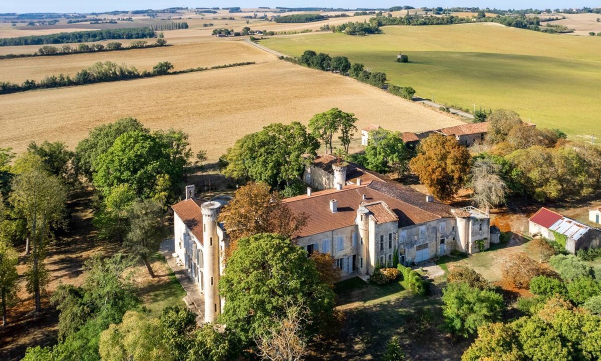 Lamothe-Goas Other | Chateau Rural - Twelve Bedroom Castle, Sleeps 20