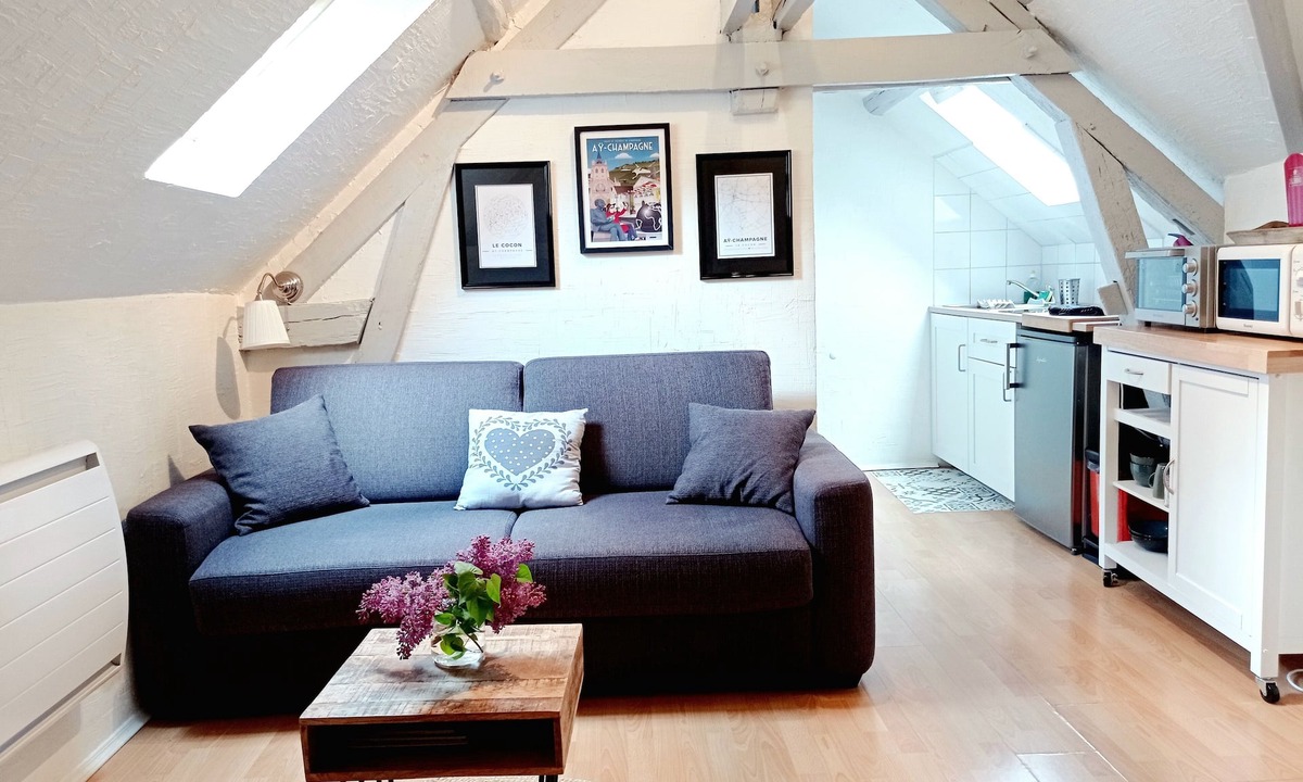 Ay Apartment | Cosy apartment in the heart of Champagne near cellars, Epernay.