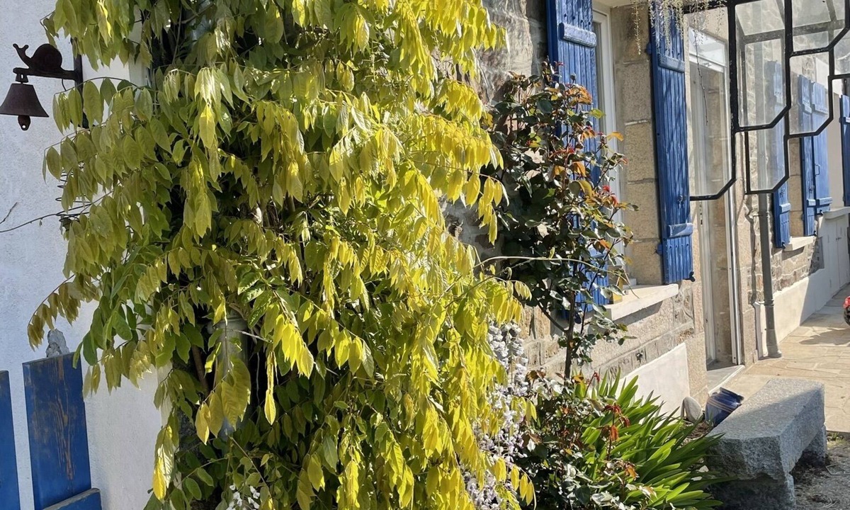 Plourhan House | Country by the sea!