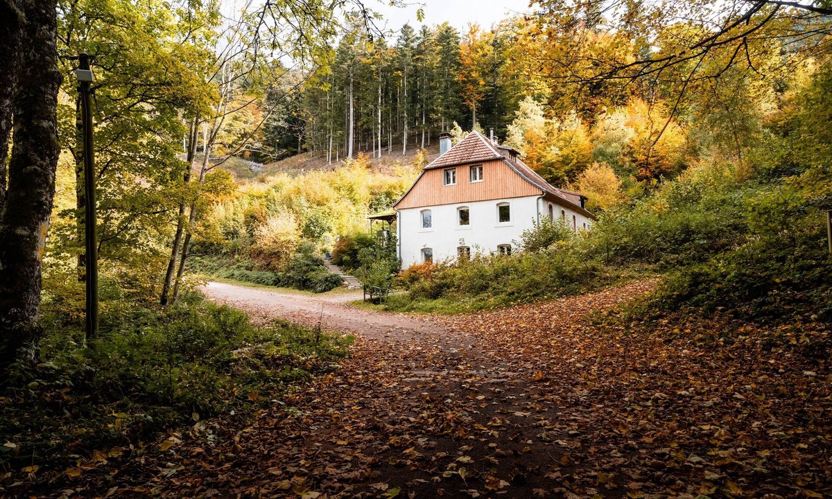 Sainte-Marie-aux-Mines Cottage | Cottage 'Le Zillhardthof 30 Pers' with Balcony and Wi-Fi