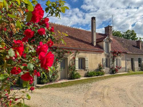 Villeny House | Gîte authentique Sologne - 6 pers. - FR-1-491-486