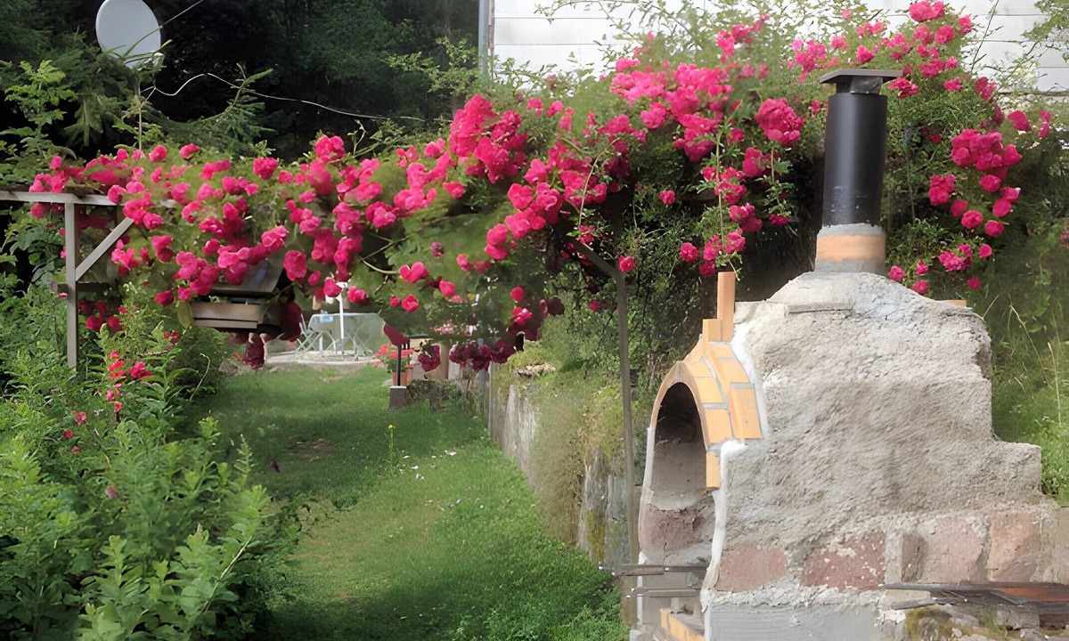 Rombach-le-Franc Cottage | Gîte "Des 3 Ânes": Mountain View, Private Terrace & Wi-Fi