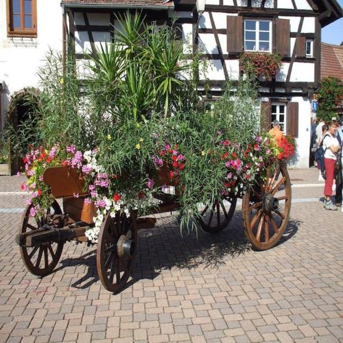 Scherwiller Apartment | Gîte 'Les Bleuets'