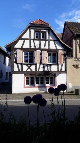 Scherwiller House | Gîte Les Hirondelles - Spacieux et Typique Alsacien - Commerces à Proximité - Proche Sélestat