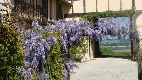 Vieuzos House | Gite du Paradis