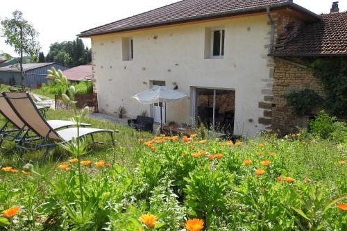 Dommartin-le-Franc House | Graine
