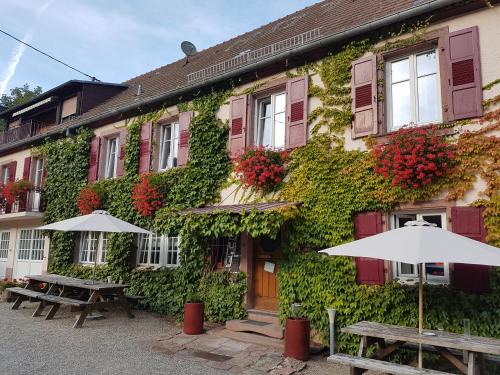 Thannenkirch Hotel | Hôtel du Haut Koenigsbourg- entre vignes et château