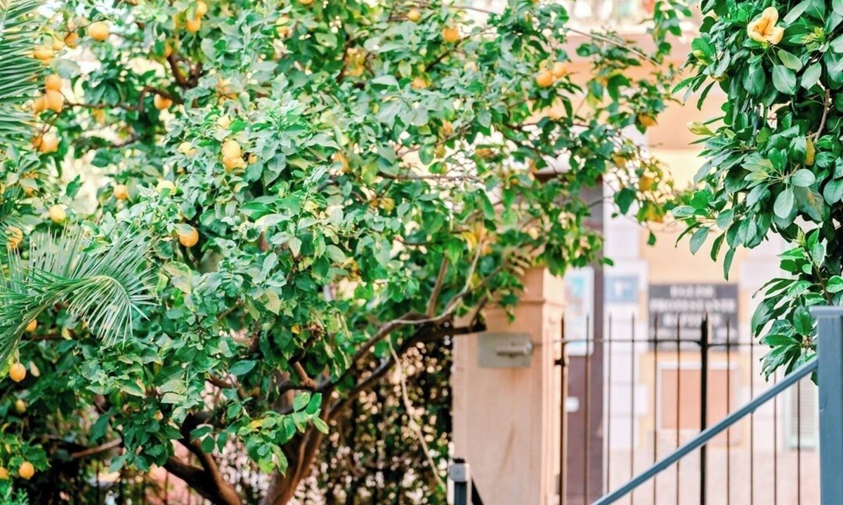 Menton Hotel | Hôtel Lemon