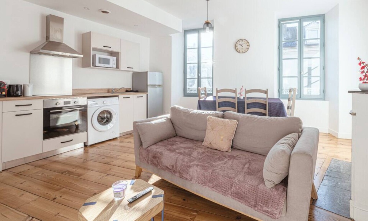 Centre Ville Apartment | Heart of Pau - Air Conditioning and Parking - Roselys
