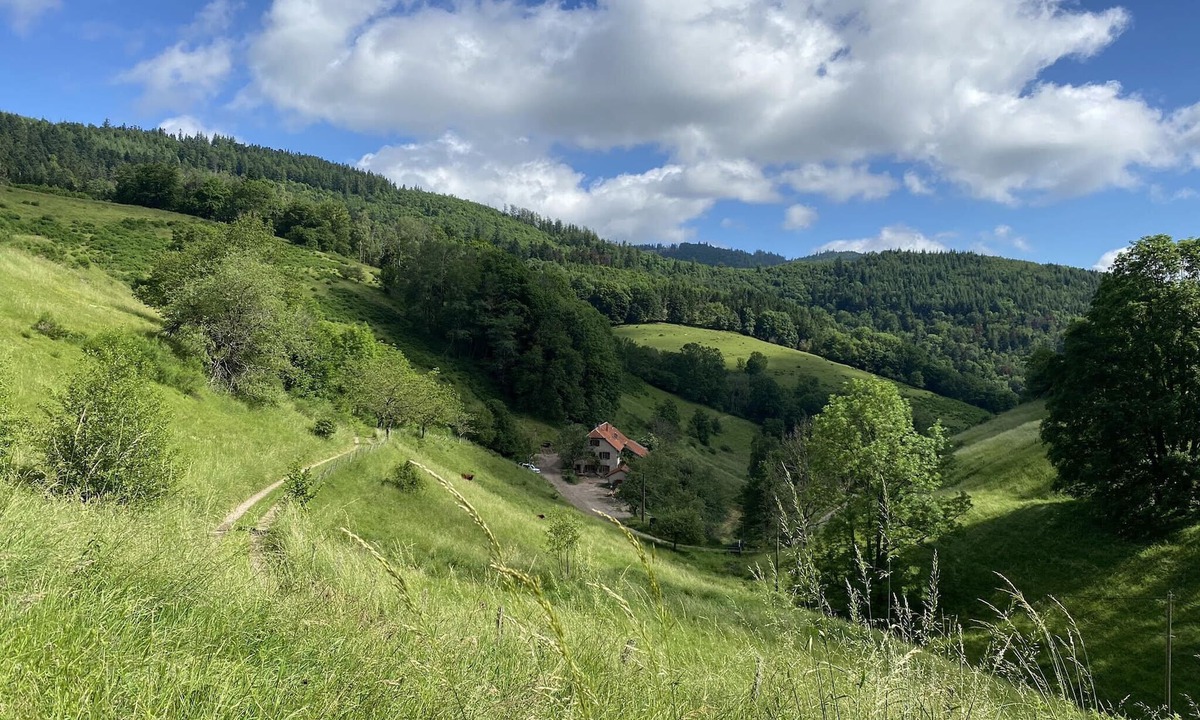 Sainte-Marie-aux-Mines Other | Holiday House Prairie D Hergauchamps/Sauna/Whirlpool on 20ha private property