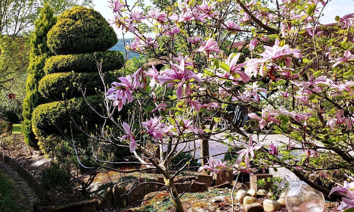 Chatenois House | Holiday house with a garden on the Alsatian Wine Route