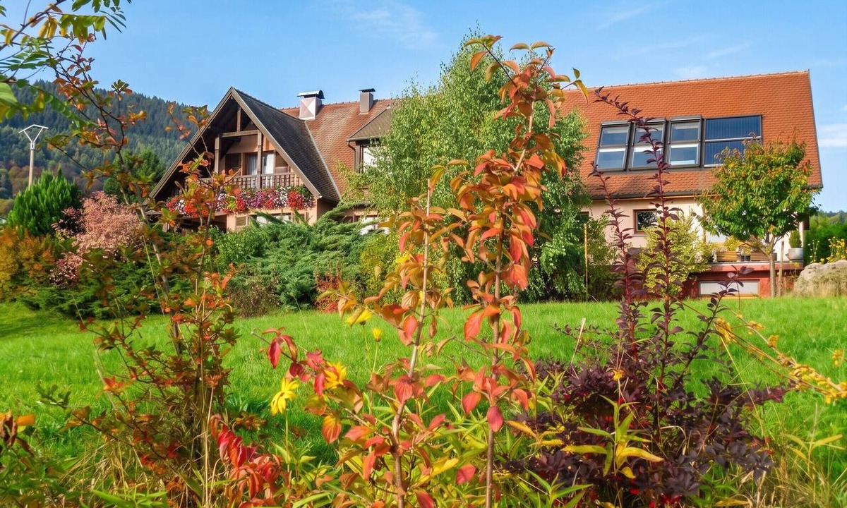 Thannenkirch Apartment | Homerez - Appt Thannenkirch, Mountain View