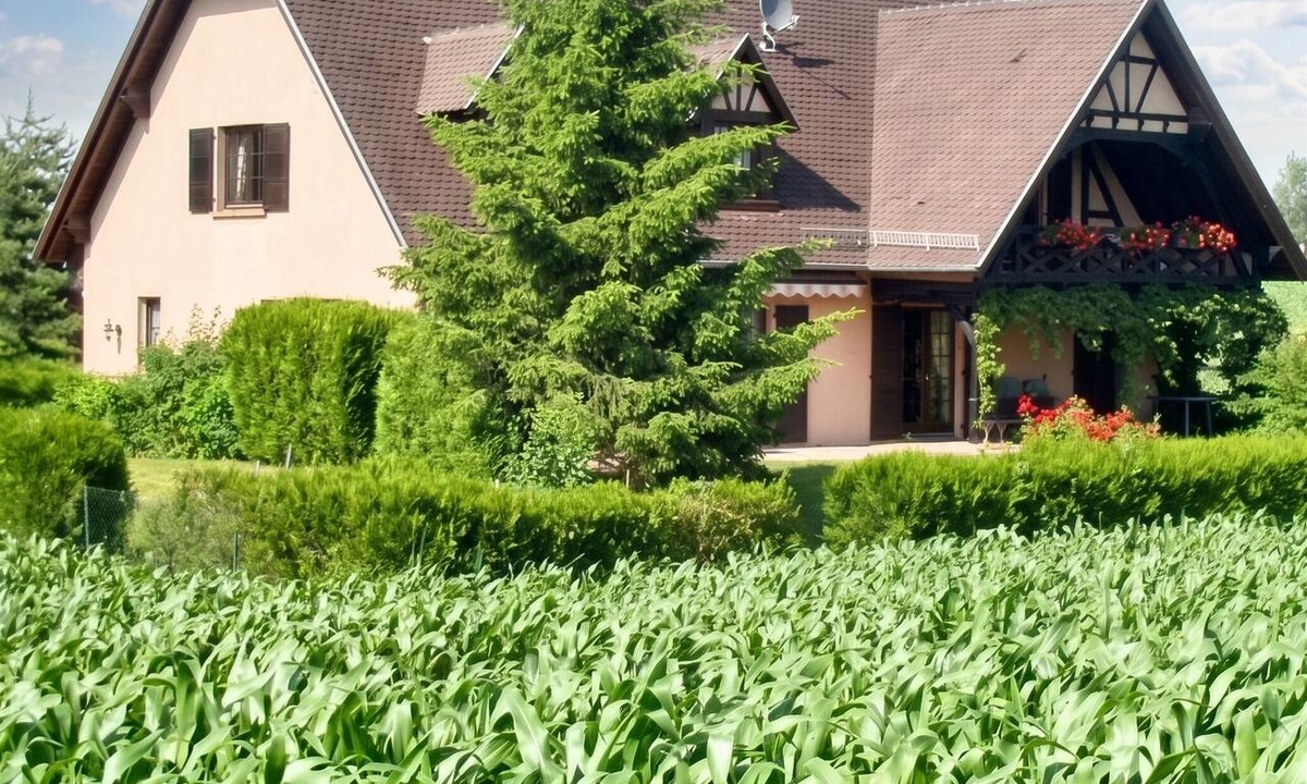 Hochfelden Apartment | Homerez - Apt. in Hochfelden