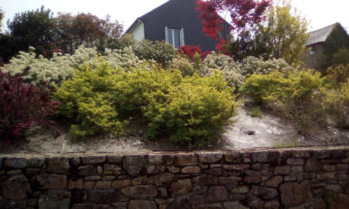 Plelo House | house near shops, small echo of the pond Mode 5 ha 15 minutes from the sea, hiking