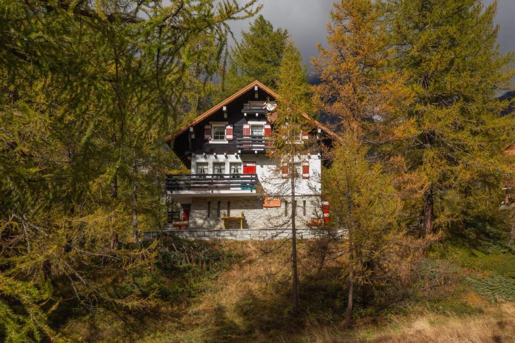 Baceno Apartment | I Larici - Appartamento per sognare
