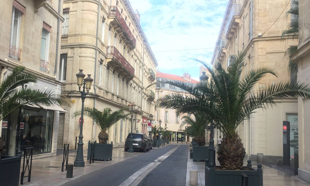 Mont Duplan Apartment | Ideally located apartment, Nîmes center, renovated