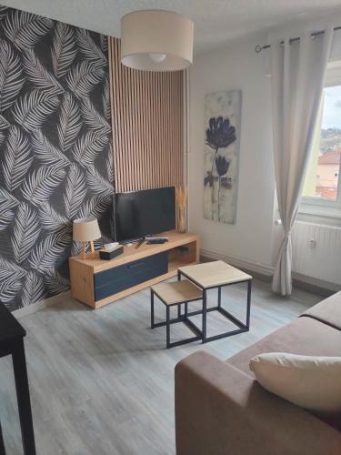 Sarrebourg Apartment | L'Europ'appart - Cosy - Gare - Center parcs -St Croix