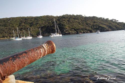 Port-Cros Bed & Breakfast | La MAISON du PORT