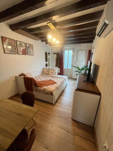 Romorantin-Lanthenay House | Le 122 , maison climatisée avec jardin