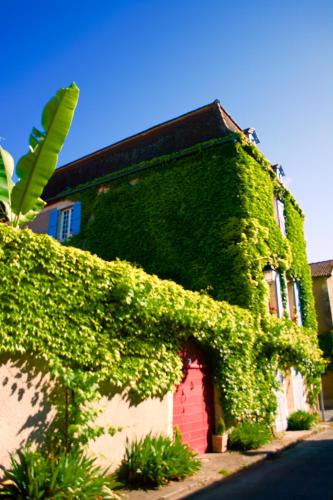 Castelfranc Bed & Breakfast | Le 7 des Tonneliers