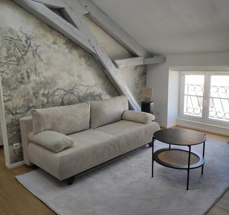 Bar-sur-Aube Apartment | Le Boudoir de l'Aurore - Idéal famille - Central