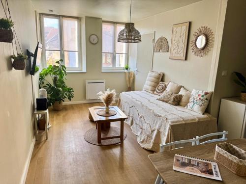 Sarrebourg Apartment | Le Cocon Bohème, appartement chaleureux