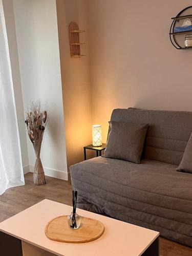 Rosieres-pres-Troyes Apartment | Le cocon de Joëly