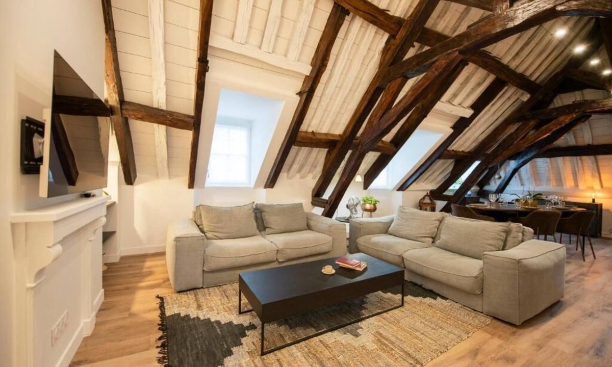 Sens Apartment | Le Laurencin Sens - Cœur de ville - Le Family (2-bedroom apartment)
