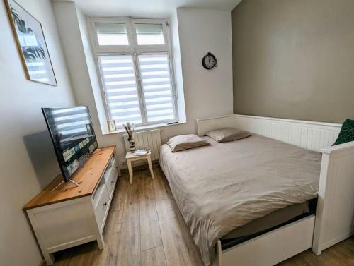 Saint-Brieuc Apartment | Le Nid - newly renovated cozy studio