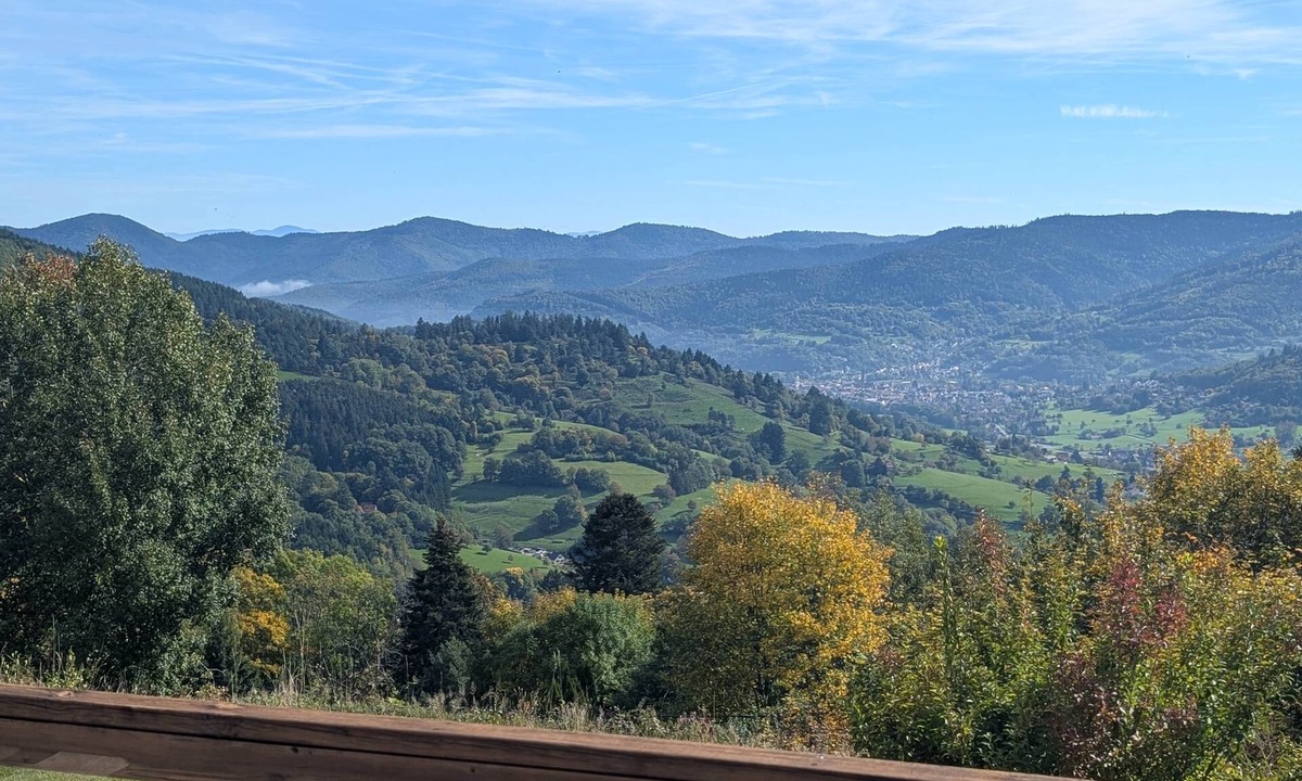 Soultzeren Apartment | Le Panorama with views of the Valley