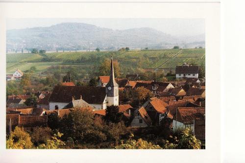 Wangen House | Les hirondelles