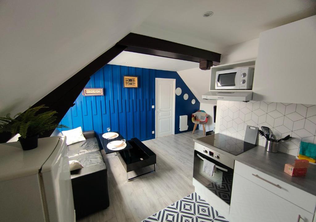 Provins Apartment | Les Lofts De Provins: Apt 6