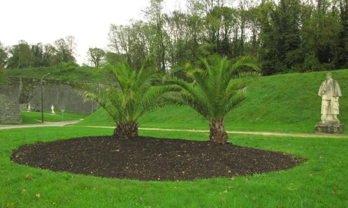 Verdun House | Les Victoriennes