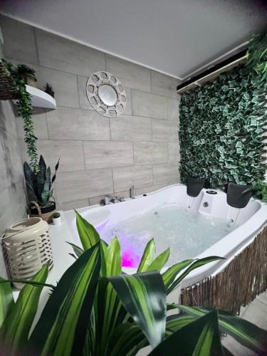 Dizy Apartment | Logement Sensuelle avec Balnéo & Ambiance Tamisée